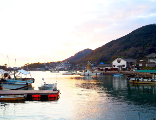 絶景と潮待ちの港をじっくり巡る – 鞆の浦満喫コース
